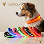 Correa LED de Seguridad: Paseos nocturnos brillantes y sin riesgos 🌟🐕