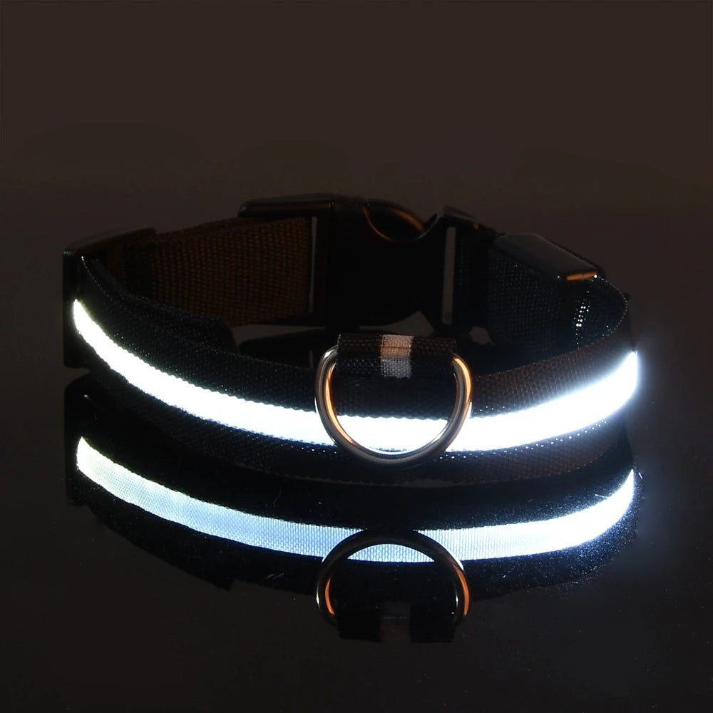 Correa LED de Seguridad: Paseos nocturnos brillantes y sin riesgos 🌟🐕