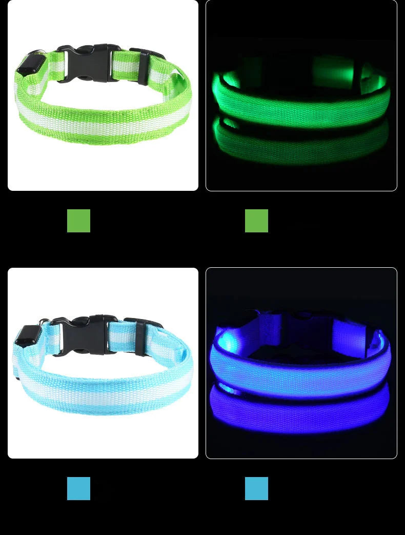 Correa LED de Seguridad: Paseos nocturnos brillantes y sin riesgos 🌟🐕