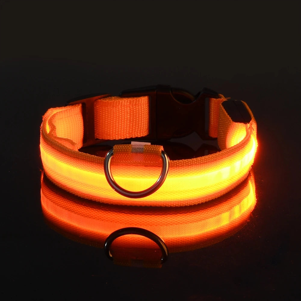 Correa LED de Seguridad: Paseos nocturnos brillantes y sin riesgos 🌟🐕