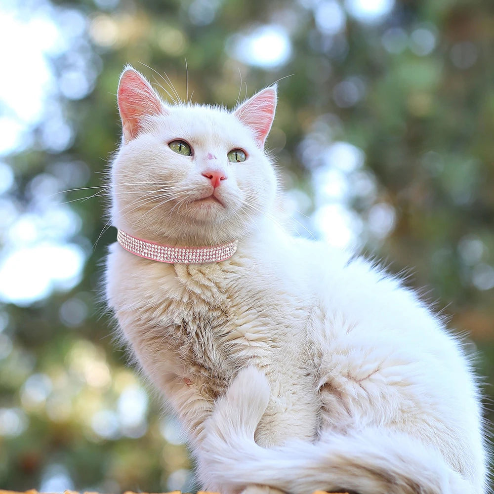 Collar de Ante con Pedrería y Cascabel: Elegancia y seguridad para tu gatito 🎀✨