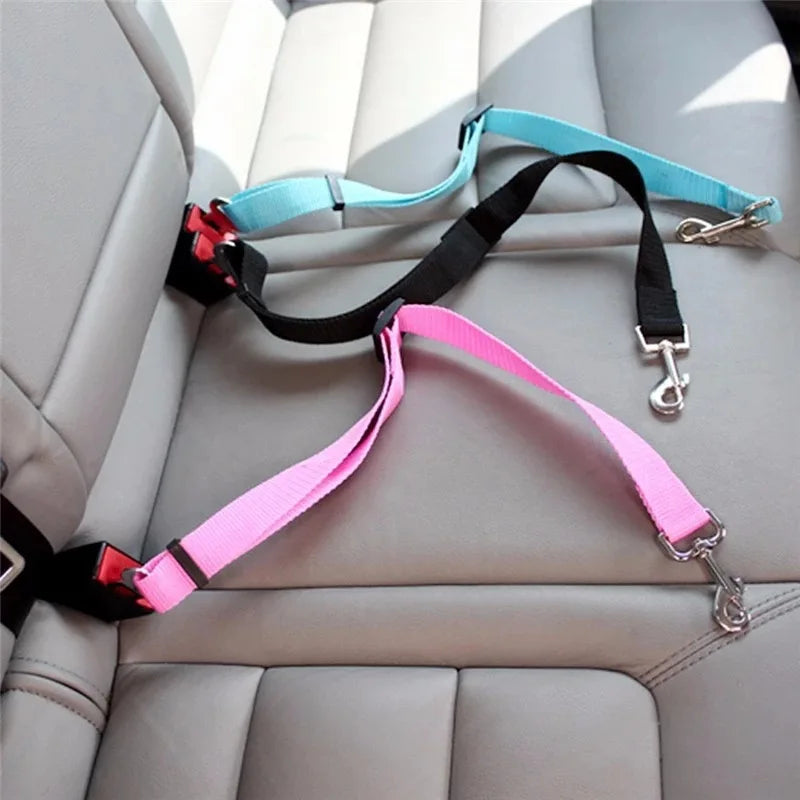 Cinturón de seguridad ajustable para perros: Viaja tranquilo, viaja seguro 🚗🐾